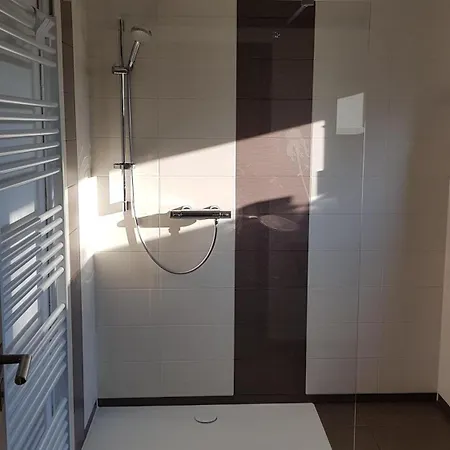 Moderne, Niveauvoll Eingerichtete Im Erzgebirge Mit Wohlfuehlgarantie Apartment
