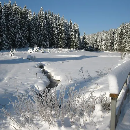 Moderne, Niveauvoll Eingerichtete Im Erzgebirge Mit Wohlfuehlgarantie *