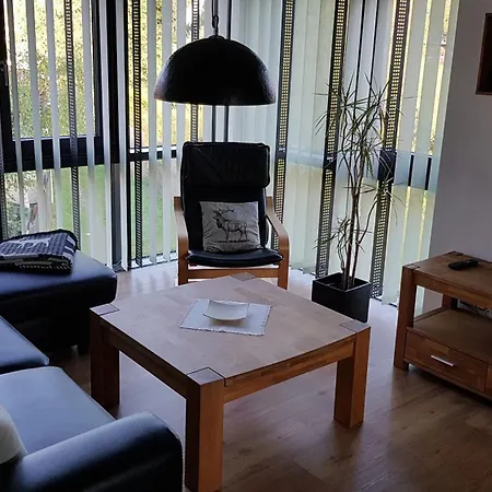 Moderne, Niveauvoll Eingerichtete Im Erzgebirge Mit Wohlfuehlgarantie Apartment