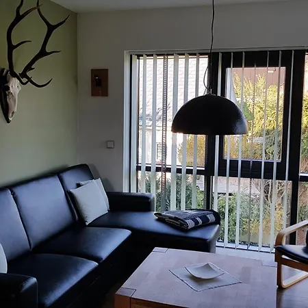 Moderne, Niveauvoll Eingerichtete Apartament Eibenstock
